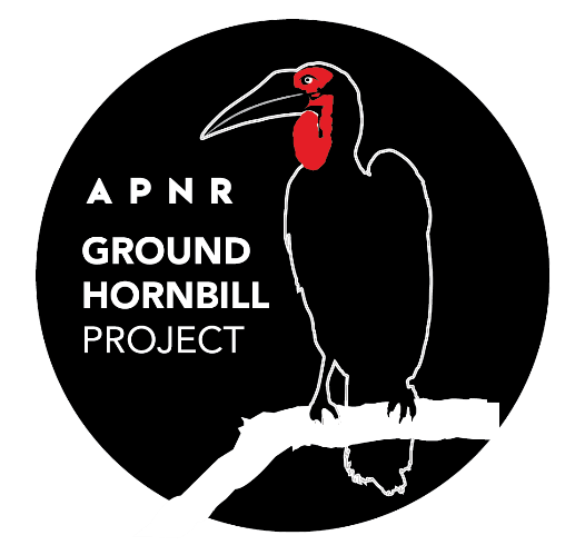 Ground-hornbill researchers