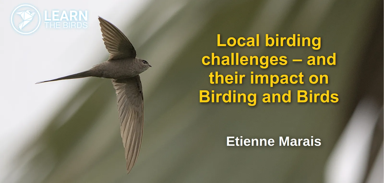 Local birding challenges – and their impact on Birding and Birds