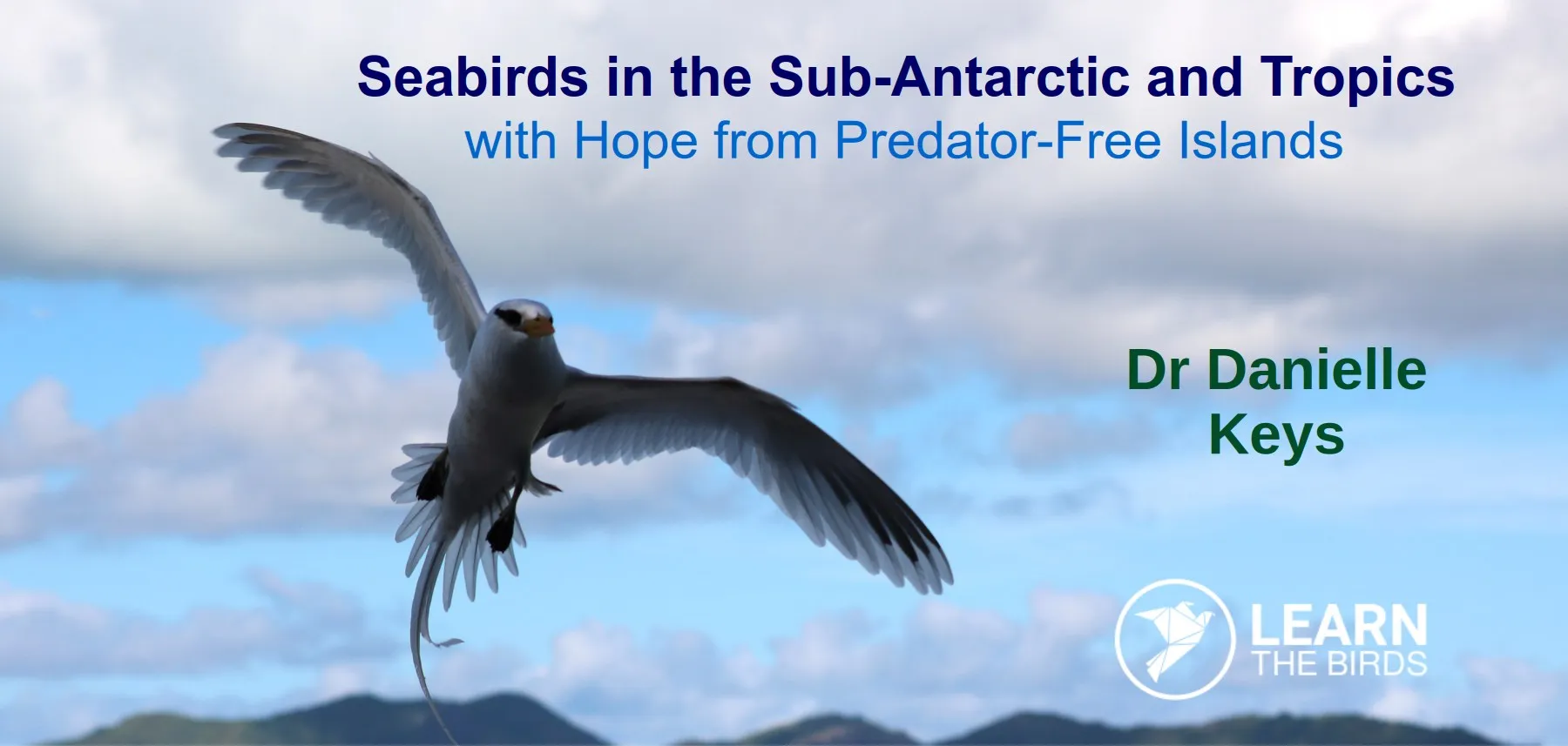 Seabirds from the Sub-Antarctic to the Tropics, with Hope from Predator-Free Islands