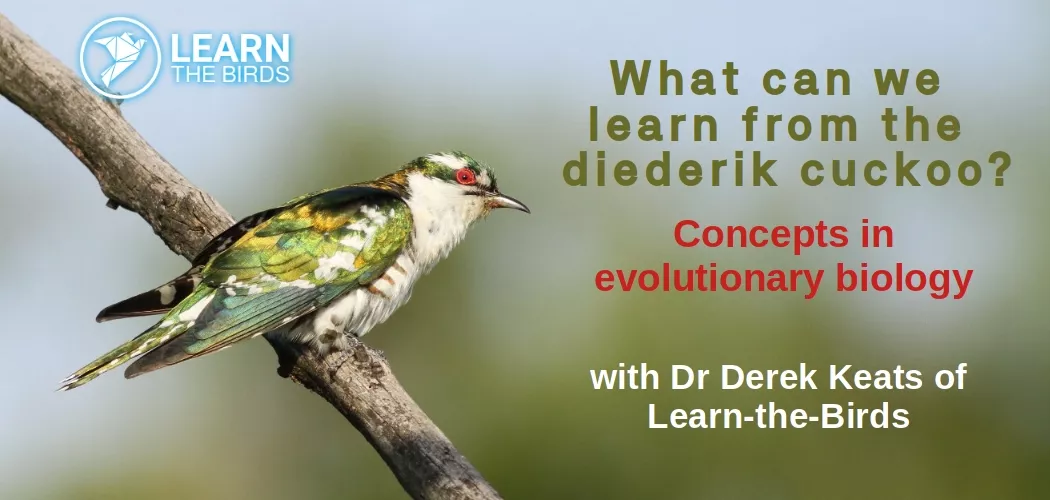 What can we learn from the Diederik Cuckoo? Concepts in evolutionary biology