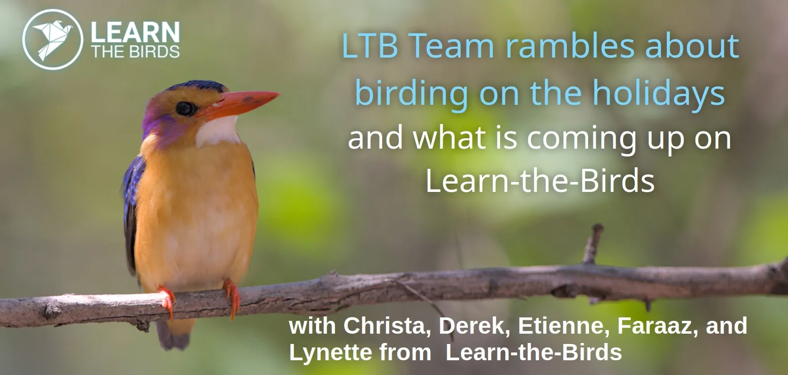 Learn-the-Birds Team Rambles