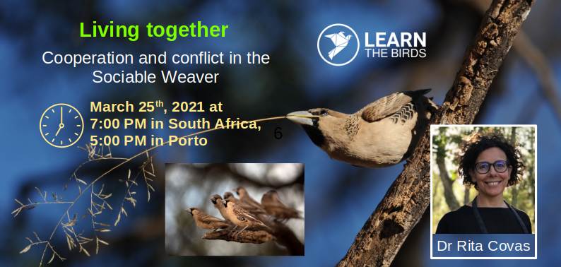 Living together: Cooperation and conflict in the Sociable Weaver