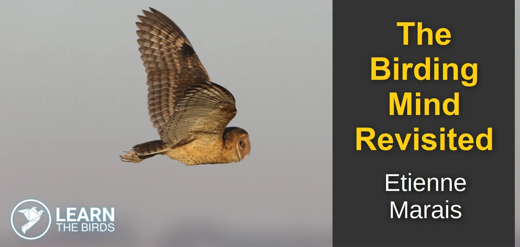 The Birding Mind Revisited