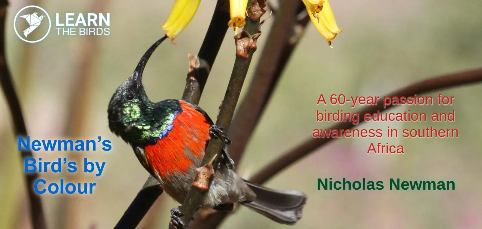Newman’s Bird’s by Colour: A 60-year passion for birding education and awareness in southern Africa