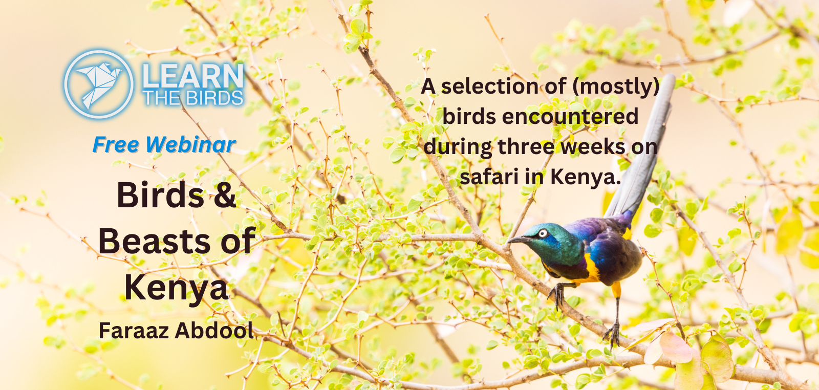 Birds and Beasts of Kenya