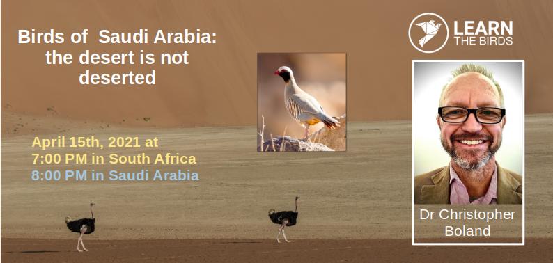 Birds of Saudi Arabia: the desert is not deserted