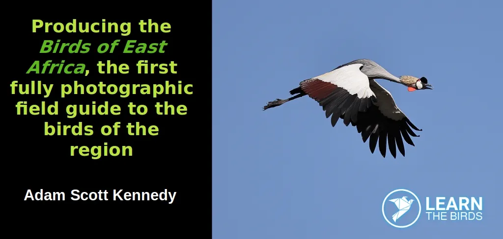 Producing the 'Birds of East Africa' - the first fully photographic field guide to the birds of the region