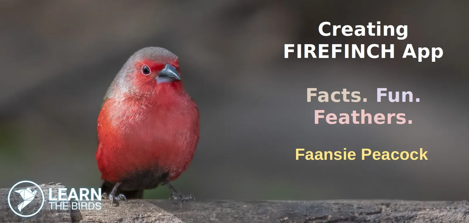 Creating FIREFINCH App - Facts. Fun. Feathers.