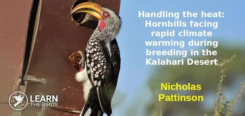 Handling the heat: Hornbills facing rapid climate warming during breeding in the Kalahari Desert