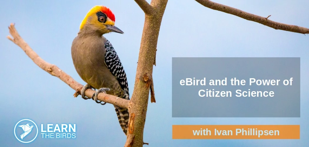 eBird and the Power of Citizen Science