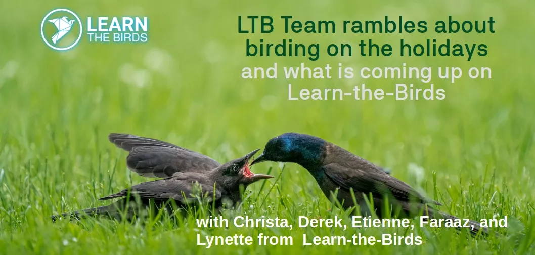 Learn-the-Birds Team Rambles about Birding during the Holidays