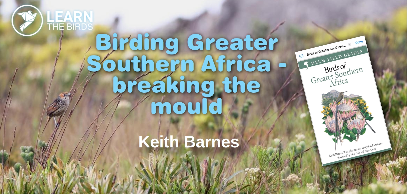 Birding Greater Southern Africa - breaking the mould
