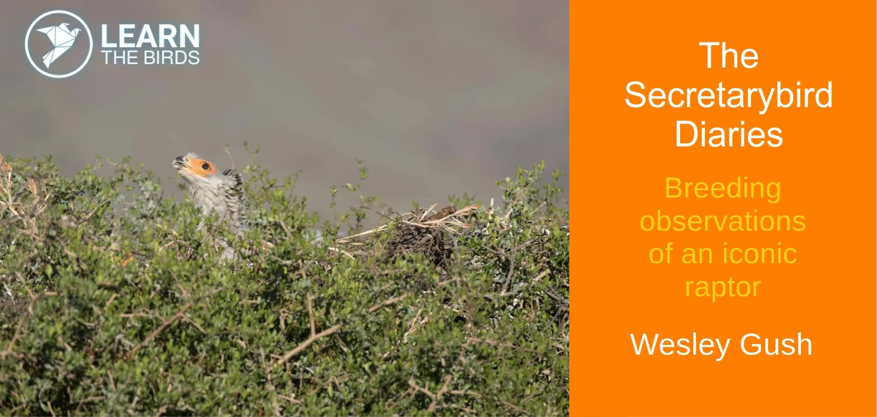 The Secretarybird Diaries: breeding observations of an iconic raptor
