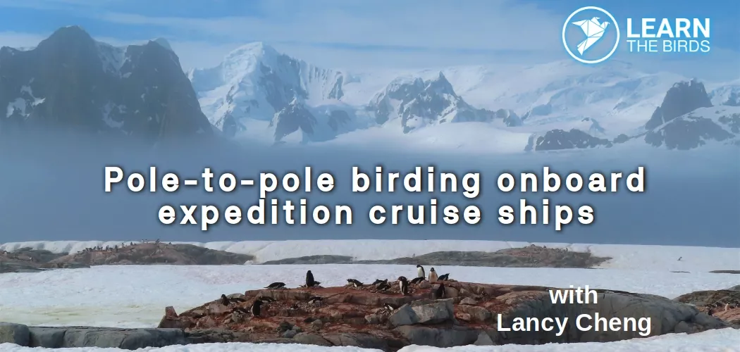 Pole-to-pole birding onboard expedition cruise ships