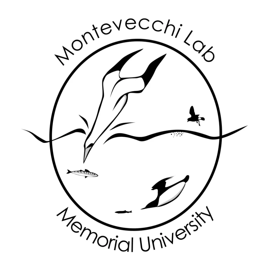Bill Montevecchi