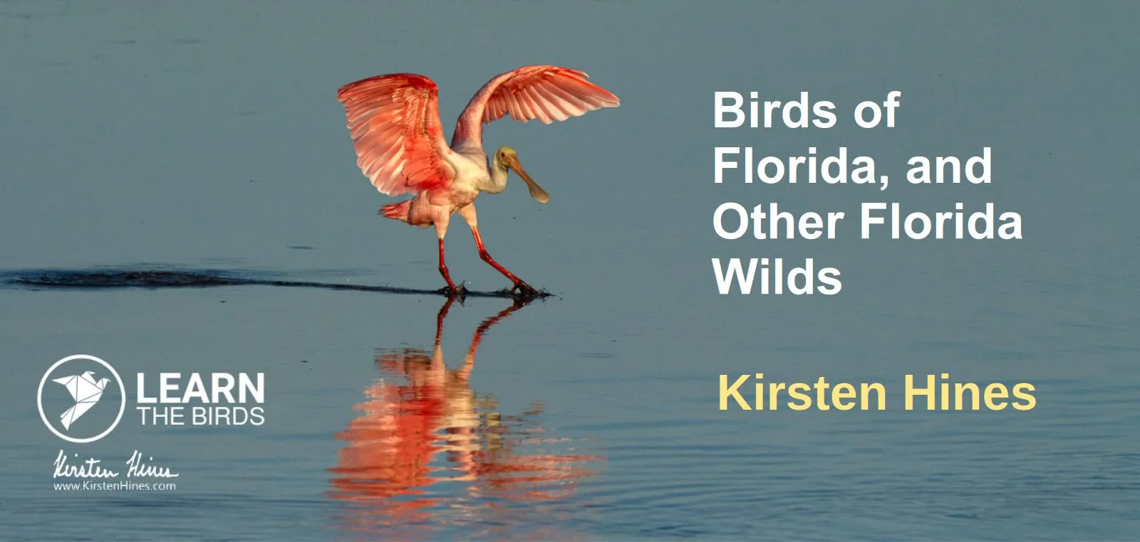 Birds of Florida, and Other Florida Wilds