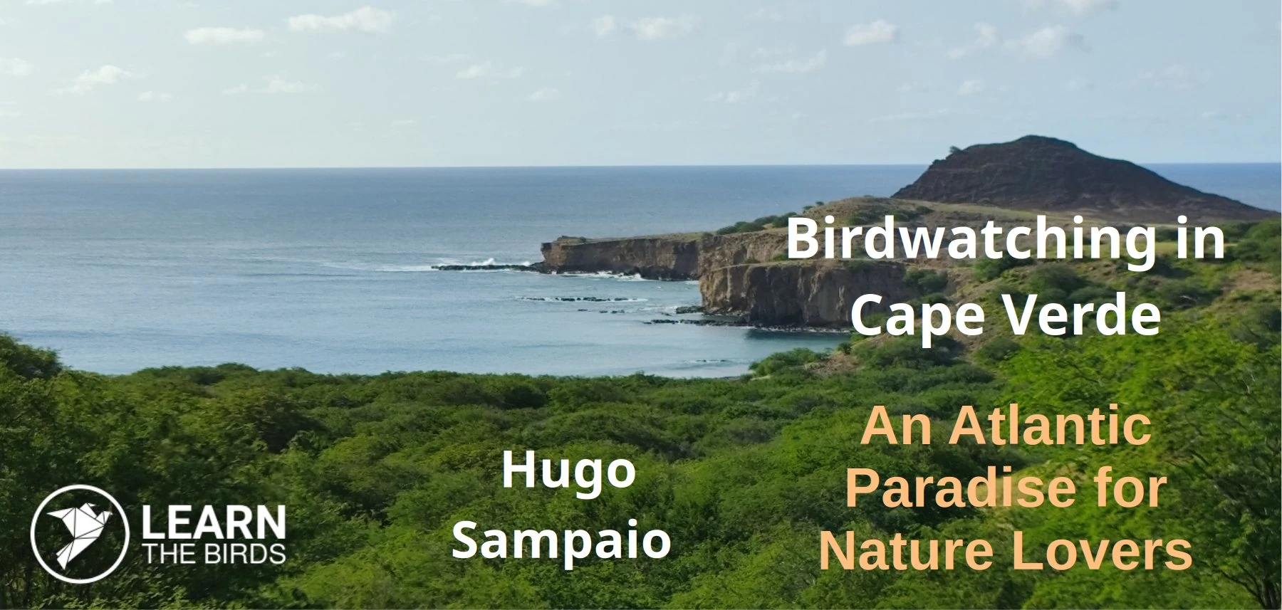 Birdwatching in Cape Verde: An Atlantic Paradise for Nature Lovers