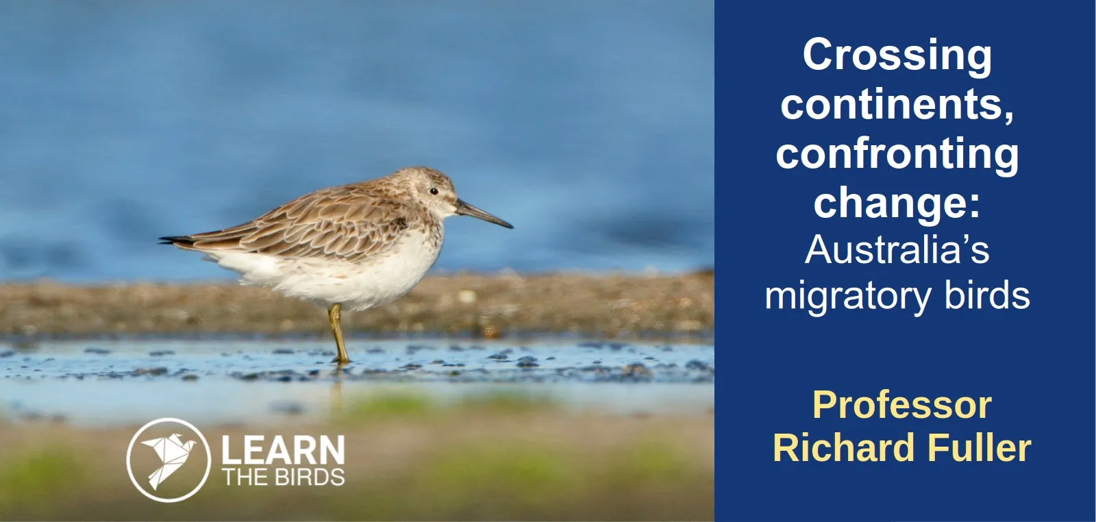 Crossing continents, confronting change: Australia’s migratory birds