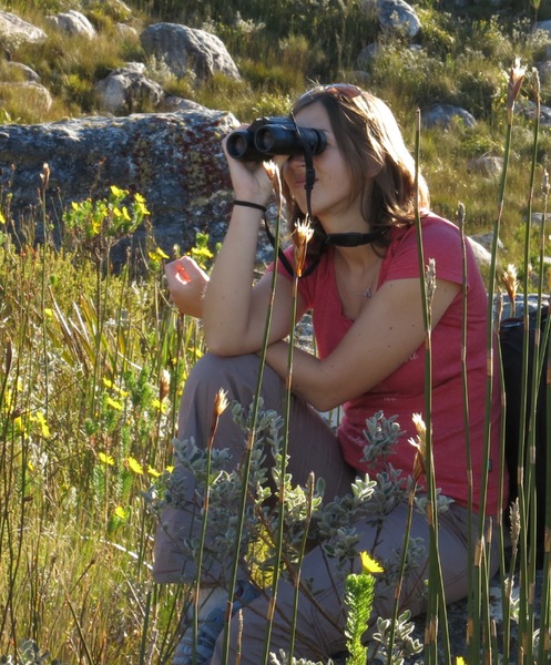 Dr Susan Cunningham birding