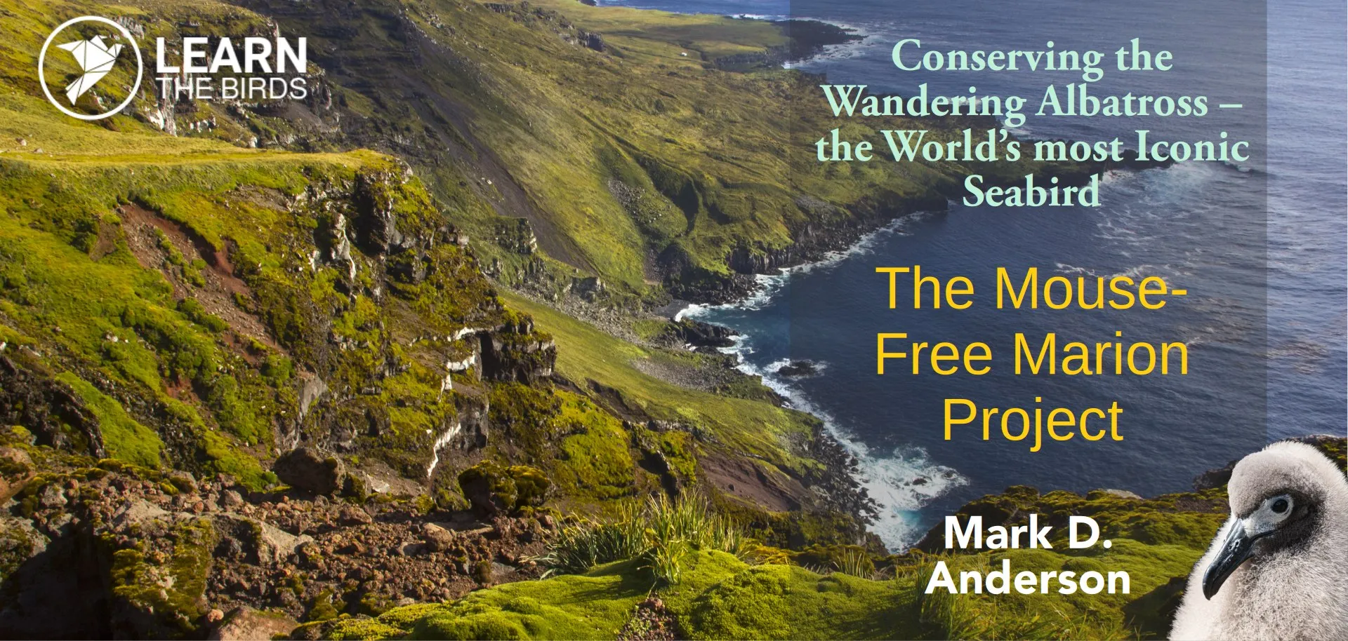 Conserving the Wandering Albatross – the World’s most Iconic Seabird: The Mouse-Free Marion Project
