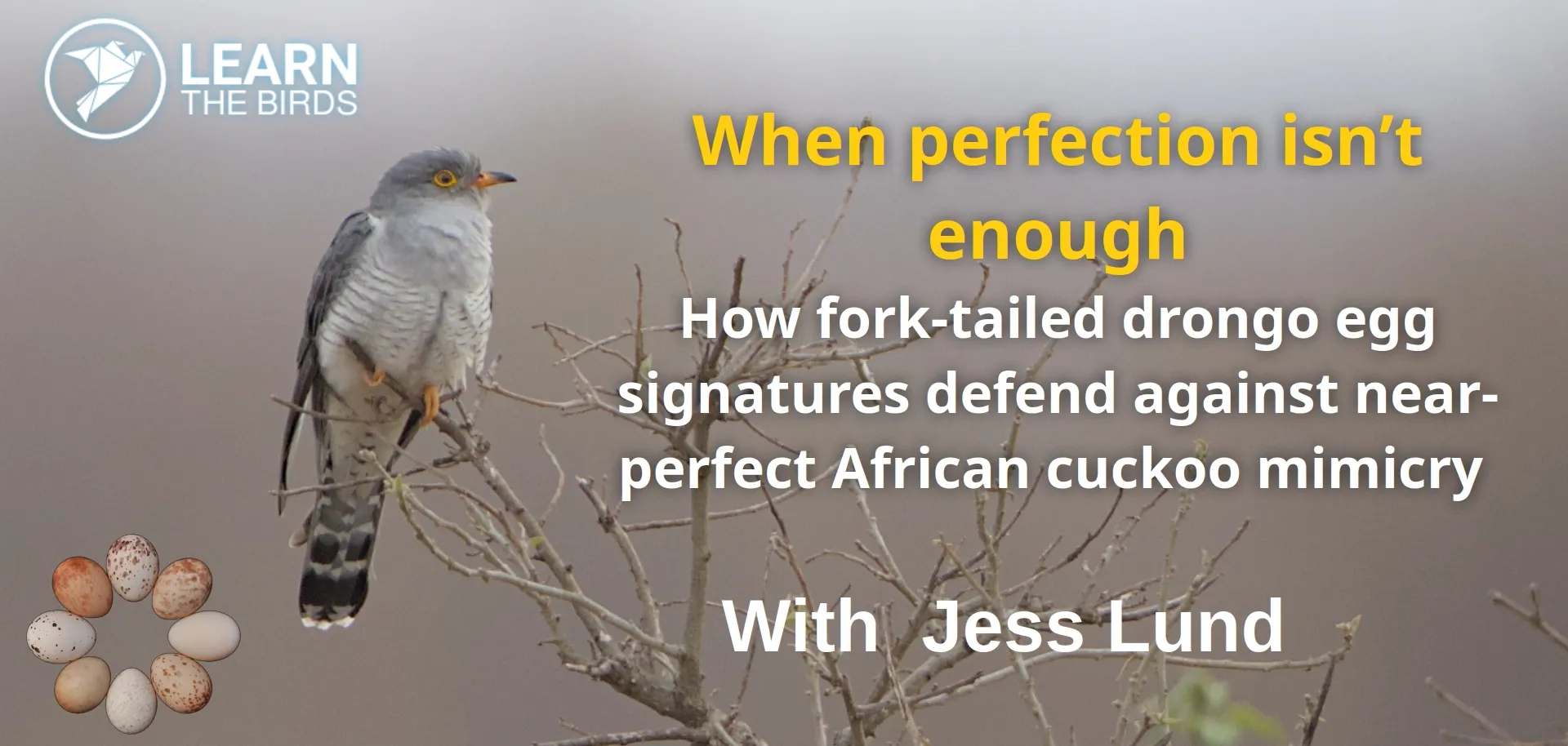 When perfection isn’t enough