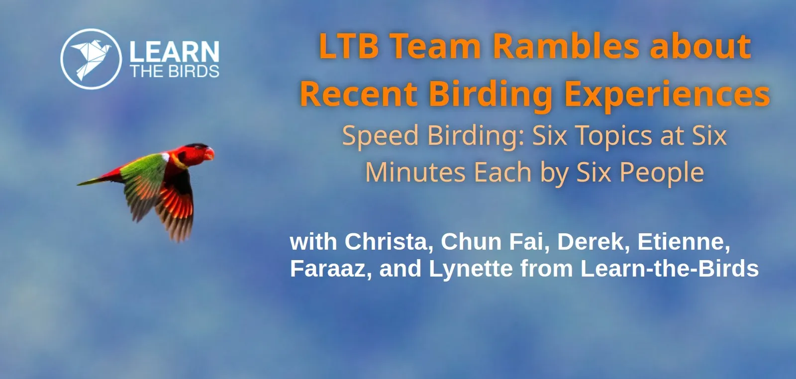 The LTB Team Ramble About Recent Birding Experiences