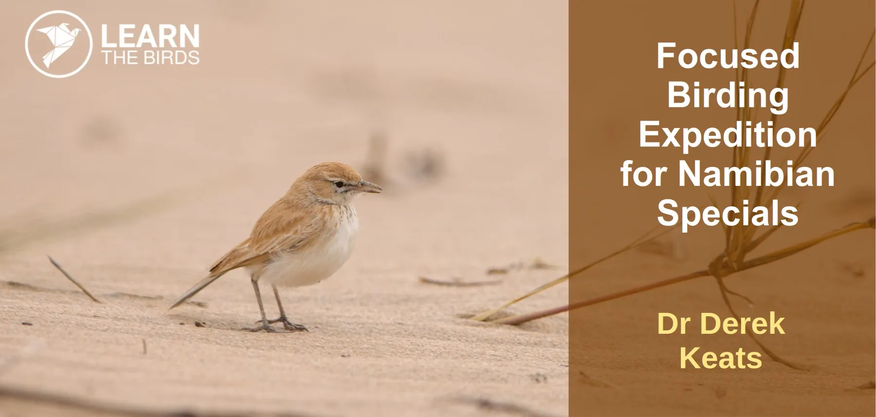 Focused Birding Expedition for Namibian Specials