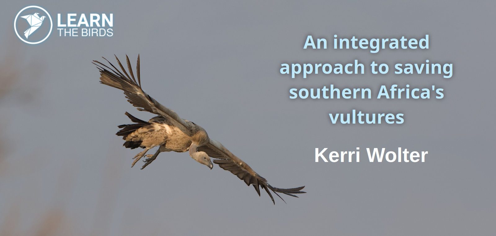 An integrated approach to saving southern Africa's vultures
