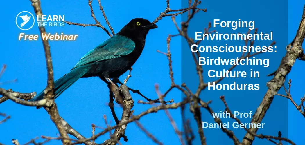 Forging Environmental Consciousness: Birdwatching Culture in Honduras