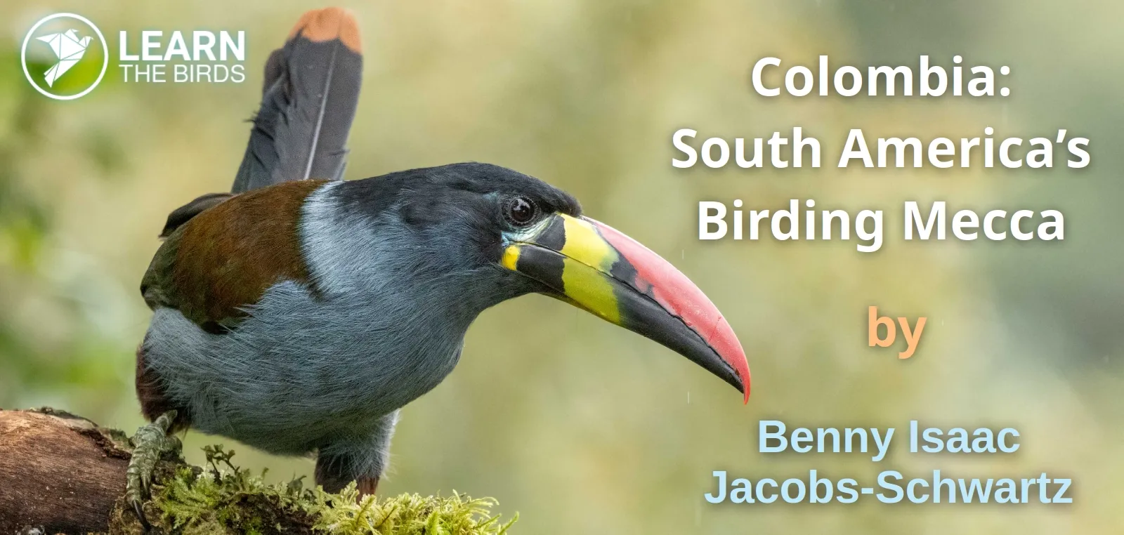 Colombia: South America’s Birding Mecca