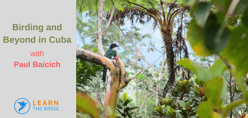 Birding and Beyond in Cuba - Opportunities and Lessons for Today