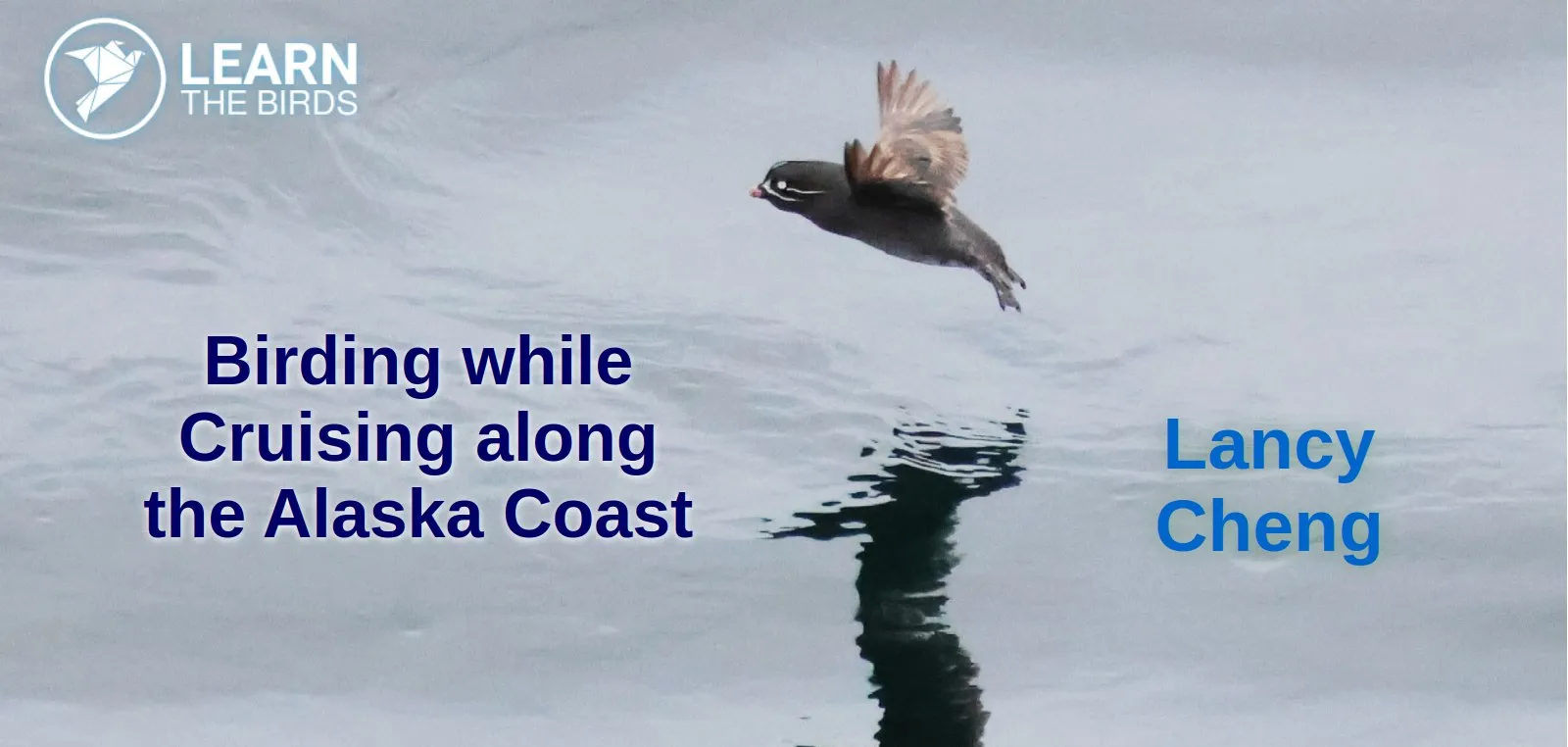 Birding while Cruising along the Alaskan Coast