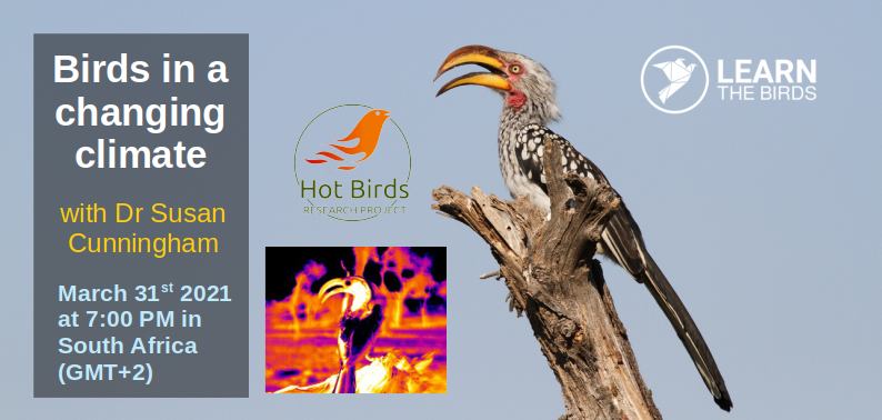 Birds in a changing climate