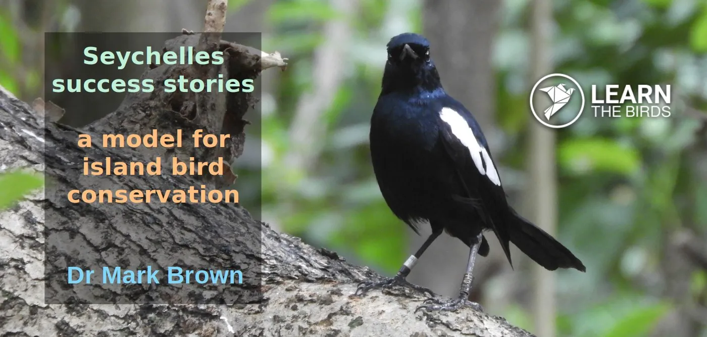 Seychelles success stories: a model for island bird conservation