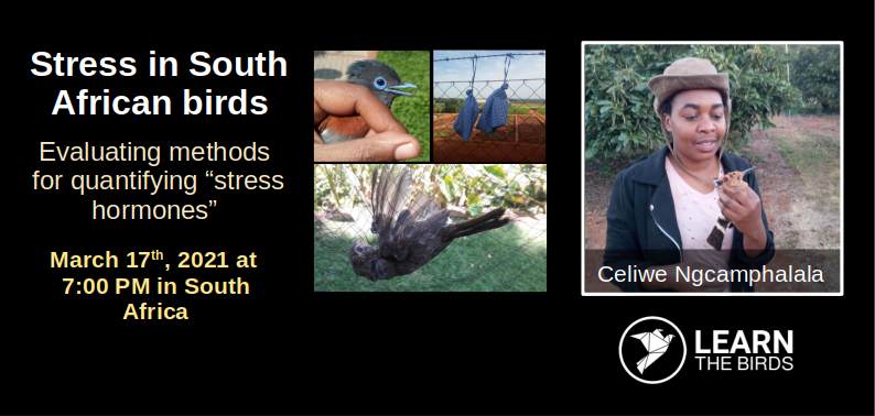 Stress in South African birds: evaluating methods for quantifying “stress hormones”