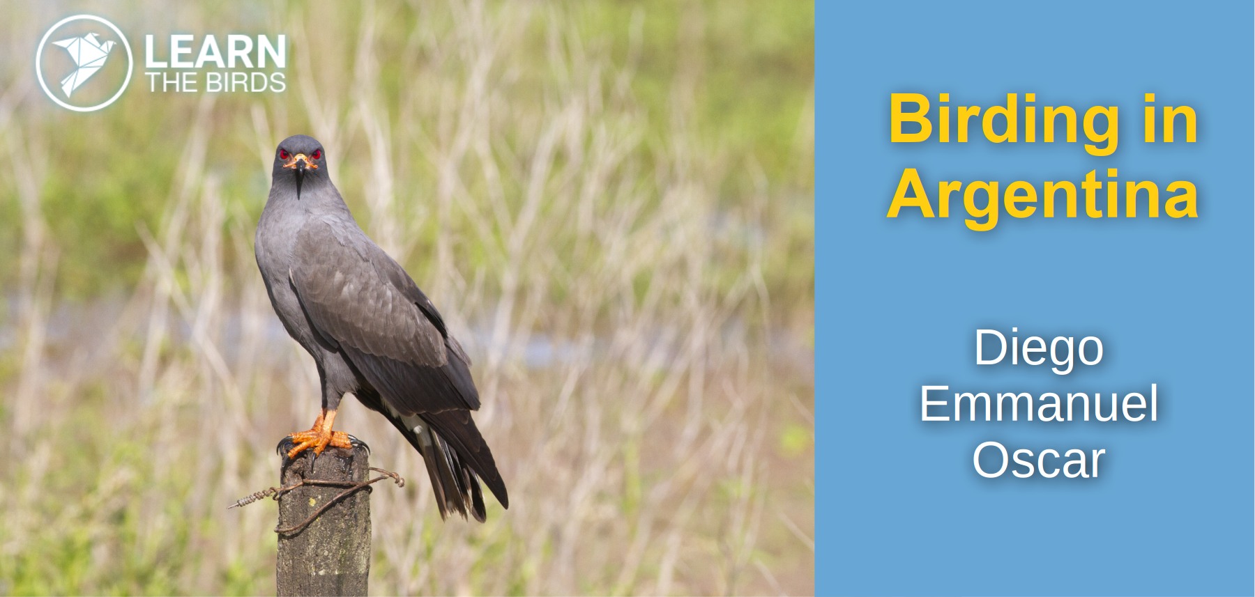 Birding in Argentina