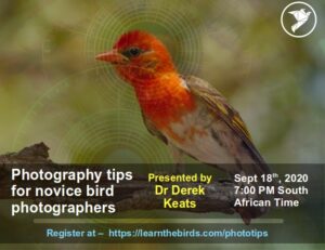 Photography tips