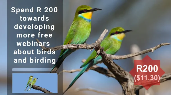 Image of bee-eaters with amount of contribution shown as R200