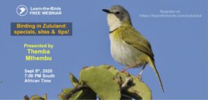 Zululand birding