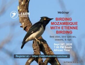 Webinar title