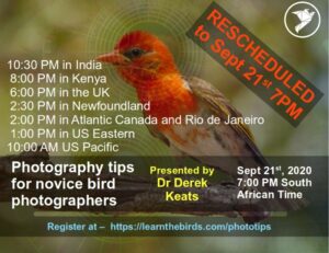 Webinar thumbnail