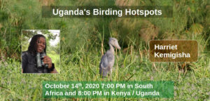 Uganda's Birding Hotspots banner