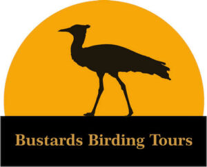 Bustards Birding logo