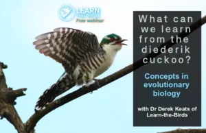 Picture of diederik cucko with webinar title.