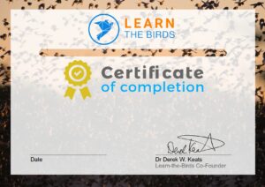 Default course certificate