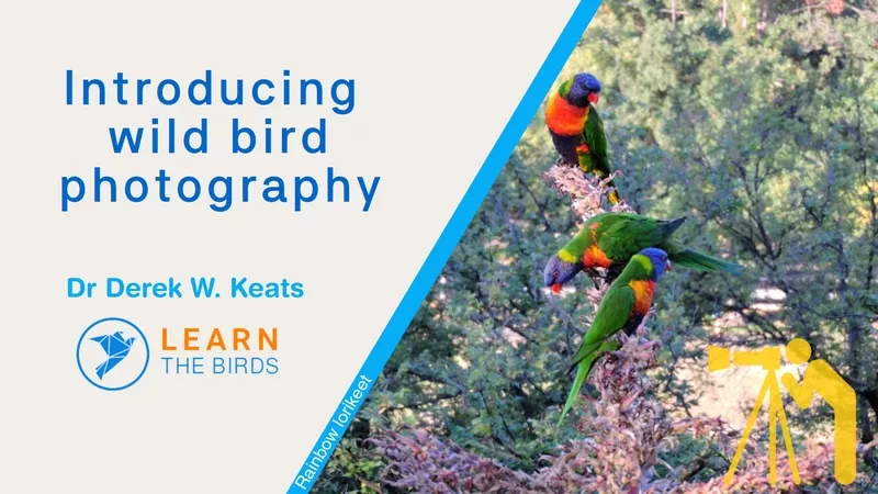 Introduction title image