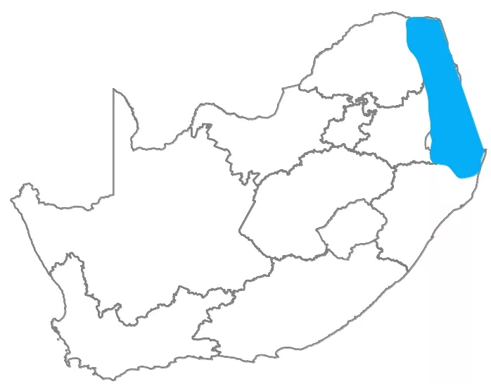 Distribution map for Stierlings wren-warbler, South Africa only.