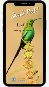 Malachite-sunbird-phone-sneak-peek